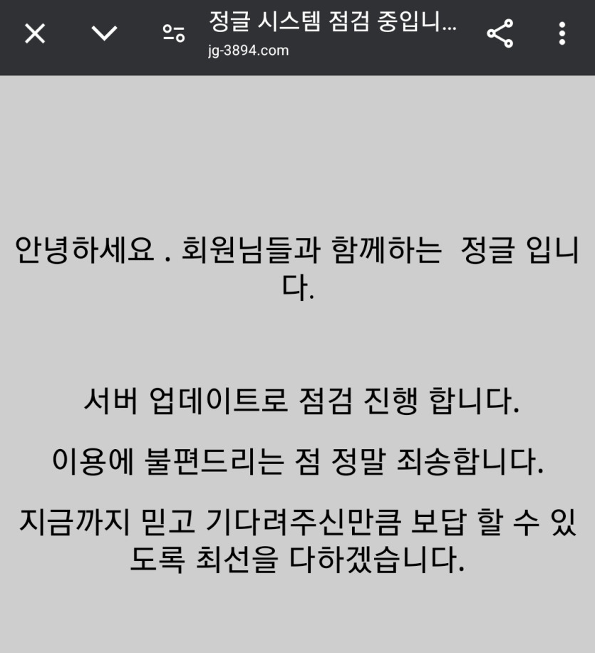 정글사이트-이용중인분