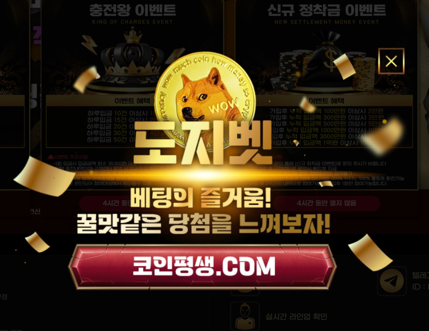 도지벳에서 200만원 먹튀 당한 경험 (진짜 실화)