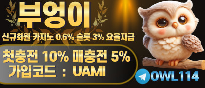 부엉이-토지노-먹튀이력-zero-안전검증